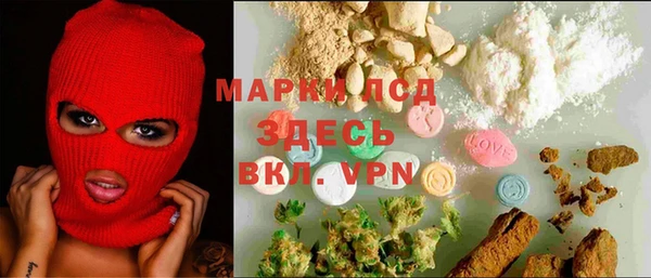 Альфа ПВП Новозыбков
