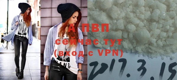 Альфа ПВП Новозыбков