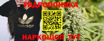 амф Донецк