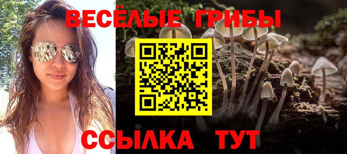 Галлюциногенные грибы мицелий  Кохма 