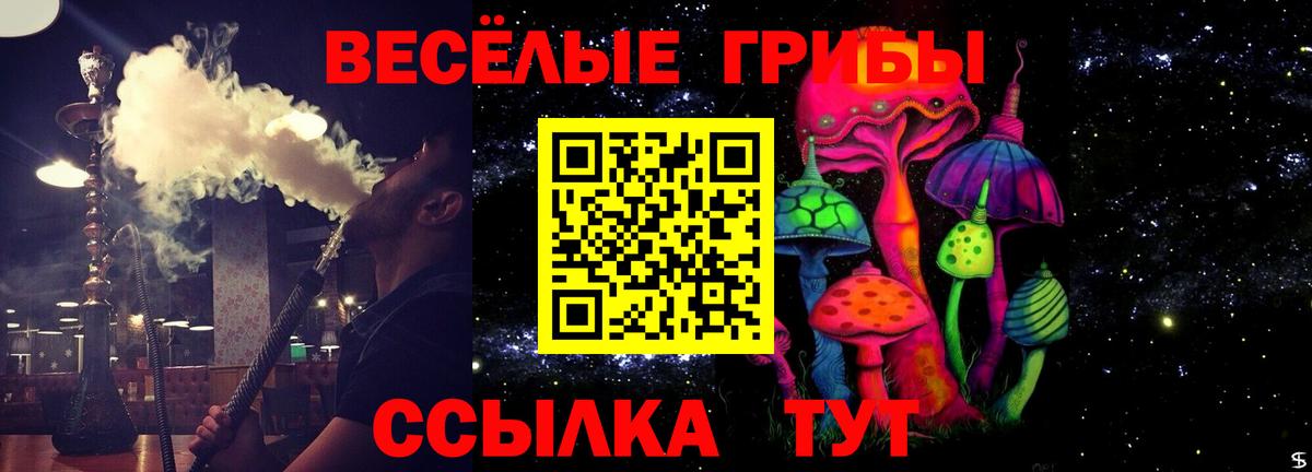 Псилоцибиновые грибы ЛСД Кохма