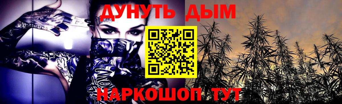 Конопля сатива Кохма
